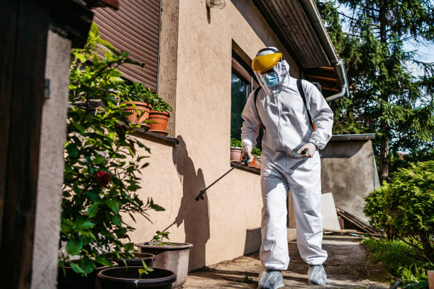 Best Pest Inspection Near Me  in Munising, MI
