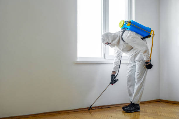 Best Mosquito Control Services  in Munising, MI