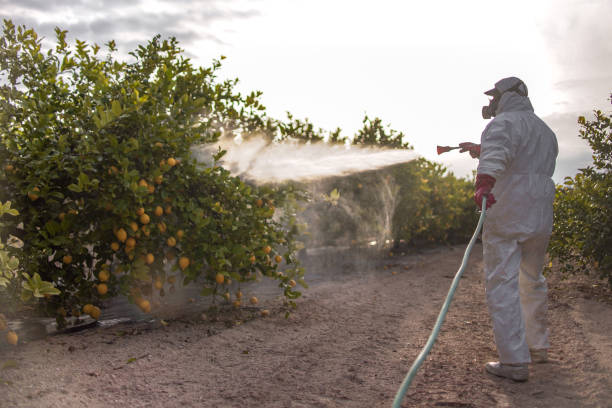 Best Exterminator Services  in Munising, MI