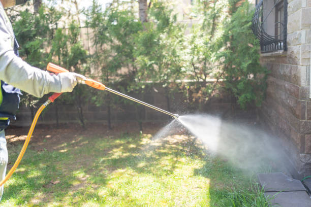 Best Ant Control Services  in Munising, MI