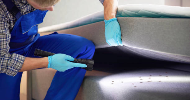 Best Flea Control Services  in Munising, MI