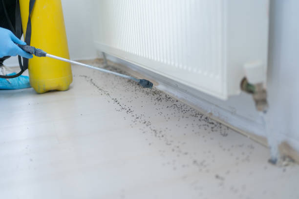 Best Residential Pest Control  in Munising, MI